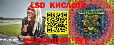 мдма Камышлов